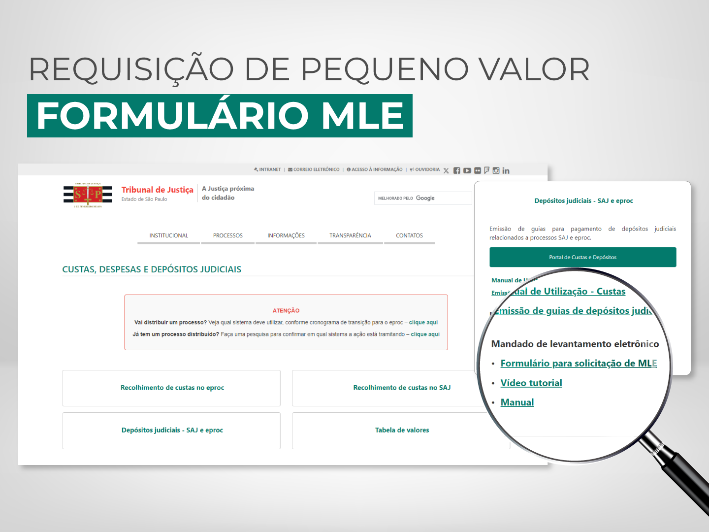 Requisição de Pequeno Valor: confira orientações para o preenchimento do formulário MLE